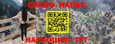 соль ск Будённовск