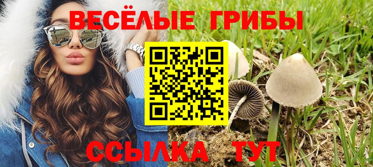 Галлюциногенные грибы Magic Shrooms Серов